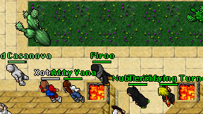 Firoo on screen