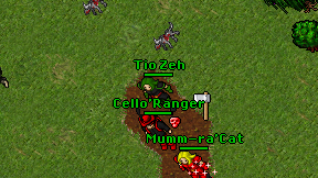 Tio Zeh on screen