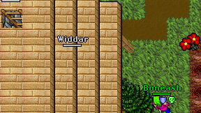 Widdar on screen