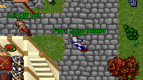 Forc Zanottinho on screen