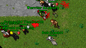 Warrior Azakura on screen