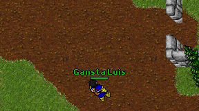 Gansta Luis on screen