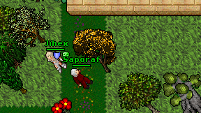 Saporaf on screen