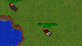 Sir Plushie on screen