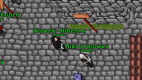 Ziomek-Hiberna on screen