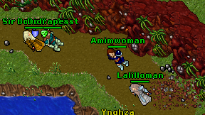 Amimwoman on screen