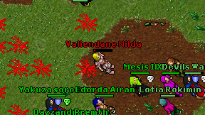 Valiendane Nilda on screen