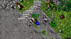 Eiiyn on screen