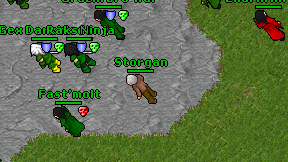 Storgan on screen