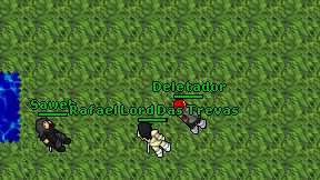 Deletador on screen