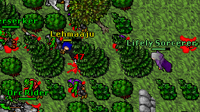 Lehmaaju on screen