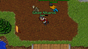 Ghor Sharin on screen