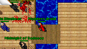 Mudders druid on screen