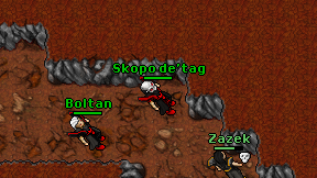 Skopo de'tag on screen