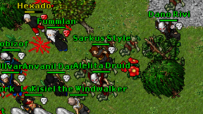 Sarkus Style on screen