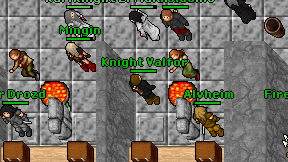 Knight Valfor on screen