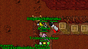 Ryhokz on screen
