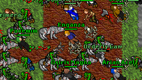 Enganza on screen