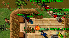Moonlight Flower on screen