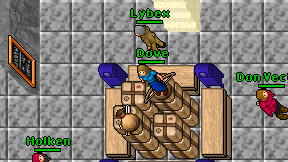 Lybex on screen