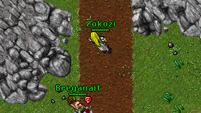 Zokozi on screen