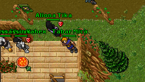 Tabar Mica on screen