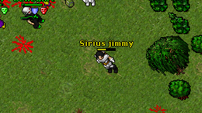 Sirius jimmy on screen