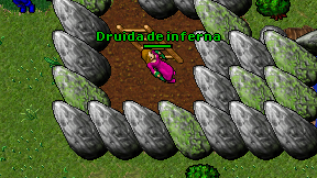 Druida de inferna on screen