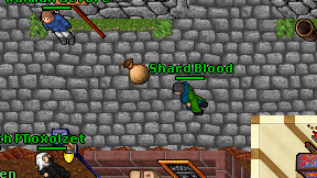 Shard Blood on screen