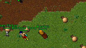 Karlyn on screen