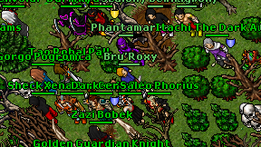 Bru'Roxy on screen