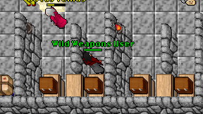 Wild Weapons User on screen