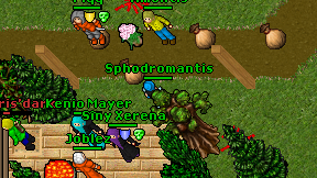 Sphodromantis on screen