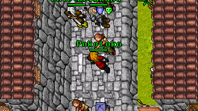 Poko Loko on screen