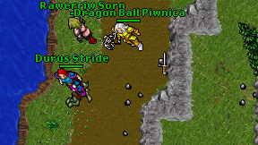 Of Goblet Fire on screen