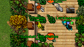 Midilu on screen