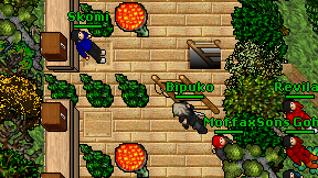 Bipuko on screen