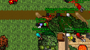 Duila on screen