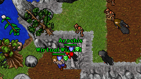 Arashis on screen