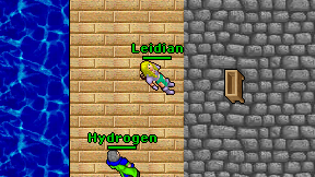 Leidian on screen