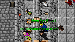 Mc Quack on screen
