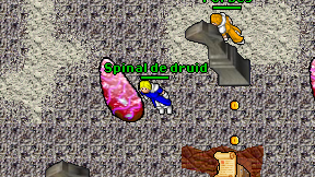 Spinal de druid on screen