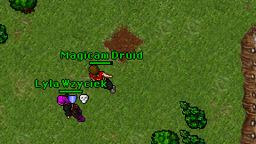 Magicam Druid on screen