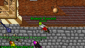 Asmor Kavani on screen