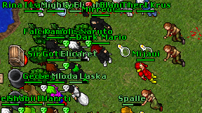 Mirredia on screen