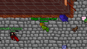 Mipi Sorcerer on screen