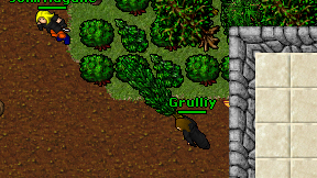 Grulliy on screen