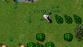 Master Kanela on screen