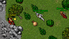 Mattimeo on screen