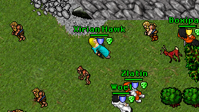 Xirian Hawk on screen